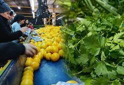 C vitamini içeriği limonu portakalı 2'ye katlıyor! Meğer gribe kalkan olan oymuş...