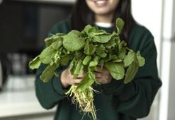 Ispanağı, domatesi unutun! İşte vitamin deposu olarak dünyanın zirvesine oturan o süper besin