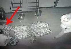 Bunu da gördük! Fırınlar arası çirkin rekabet! Çaldığı ekmeğe yaptığı 'pes' dedirtti