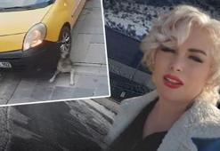 Mardinli Marilyn Monroe'nun isyanı: Köpeği ezene ceza yok, paylaşana 2 yıl hapis!