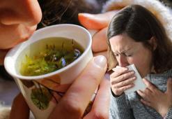Öksürüğü kesen çay tarifi! Tek yudumda boğazdaki mikrobun kökünü kurutuyor