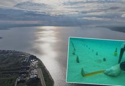 Bir yılda 30 santimetreye ulaştı! Çanakkale Boğazı santim santim inceleniyor: 'Adeta mezarlığa dönmüştü'