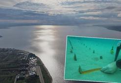 Santim santim kayıp! Çanakkale Boğazı’nda durum endişe verici: 'Adeta mezarlık gibiydi'