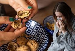 Cevizi yiyip kalanını çöpe atmayın! Öksürük, balgam ve hırıltıyı bıçak gibi kesiyor!