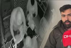 Kepengi kırdılar, 1.5 milyon liralık altınları topladılar! 40 saniyelik soygun kamerada