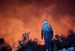 Antalya'da orman yangını! 2 hektarlık alan zarar gördü