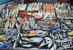 Balık tüketiminde yeni tehdit: Hamsi ve istavrit ne kadar güvenli?