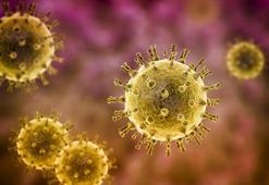 Polikliniklerde kırmızı alarm! Çocuklarda artışa geçti: 'Böylesini ilk defa görüyoruz'