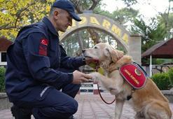 8 yılda 48 can kurtardı! ‘Ocak’ artık emekli bir kahraman
