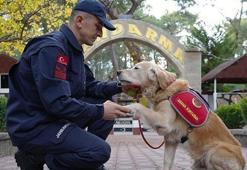 8 yılda 48 hayat: ‘Ocak’ görevini tamamladı, kahraman olarak emekli oldu