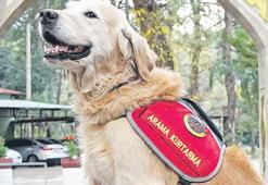 'Ocak' 48 can kurtardı