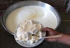 Klasik yoğurttan 2 kat daha faydalı! Kemikleri beton gibi güçlendiriyor, B12 depolarını fullüyor!