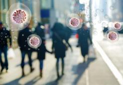 Sinsi tehlike kapıda mı? Uzmanı açıkladı: Nadir görülüyor ama beyin iltihabına yol açıyor!