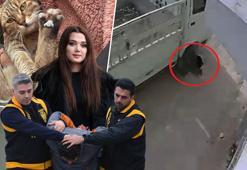 ‘Fark etmedim’ dedi, görüntüler gerçeği ortaya çıkardı! Ödül gibi ceza