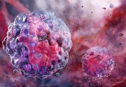 50 yaş üzerinde herkes kan sulandırıcı kullanmalı mı?