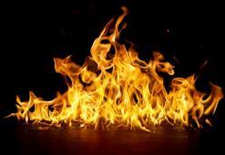 Od Bulmaca Cevabı Nedir? 3, 4, 5, 6, 7 ve 8 Harfli Çengel ve Kare Bulmacada Od Karşılığı