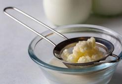 Kefir mayası nasıl çoğaltılır? Kavanozda saklanan sağlık iksiri