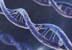 Kaç yıl yaşayacağımız doğuştan mı belli? Şaşırtan genetik gerçek