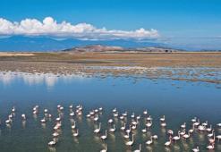 Bir Marmara yol oldu