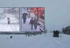 Japonya kar yağışı nedeniyle ölenlerin sayısı 30'a yükseldi