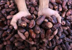 Hurma nasıl kurutulur? Ramazan sofralarının vazgeçilmezi