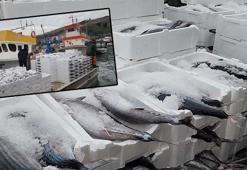 Tekirdağ'da bereket yaşanıyor, tanesi 2 bin 500 TL! En faydalı balıklardan, kalp ve damarları koruyor!