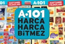 5 ŞUBAT A101 AKTÜEL KATALOĞU | A101 Aldın Aldın 5 Şubat aktüel kataloğunda hangi ürünler satışa çıkacak? 349 TL'ye kablosuz kulaklık, Iphone 17 pro max, 6 taksitli Casio saatler, elektrikli mini araba...