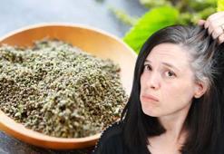 Anneannelerin yıllardır uyguladığı tarif! Gri saçları siyaha döndürüyor: Yumuş yumuş yapıp parlatıyor