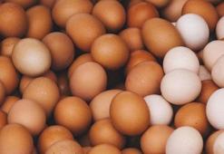 Bayat yumurta nasıl anlaşılır? Bayat ve taze yumurtayı ayırt etmenin yolları nelerdir?