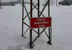 Hakkari'de kuduz alarmı! Bir köy karantinaya alındı