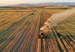 Çiftçilere müjde: 94 milyon 265 bin liralık destek ödemesi bugün yapılacak