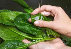 Demir deposu ıspanak yemeği tarifi! Akşama ne pişirsem derdinden kurtarıyor