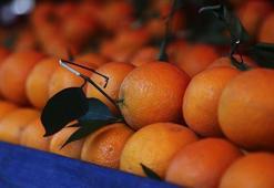 Meğer portakalı böyle yemek gerekiyormuş! C vitamini alımını zirveye çıkarıyor