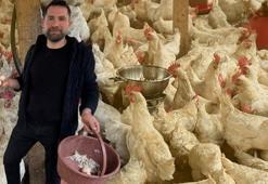 Tavukların stresi 'patlamış mısırla' azaldı: Kümeste eğlenceli yöntem! 'Yumurta sayıları arttı'