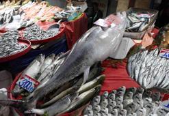 Elazığ’da 85 kiloluk dev orkinos görücüye çıktı