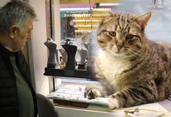 Altınların arasında en tatlı uyku! Mesaiye ilk o başlıyor, ismi 'Şaziye'