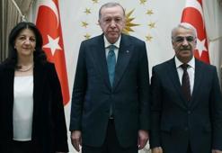 DEM Parti heyetinden Cumhurbaşkanı Erdoğan görüşmesine ilişkin açıklama