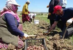 Türkiye’nin gizli hazinesi: Avrupa kapısında sıraya girdi, kilosu servet değerinde