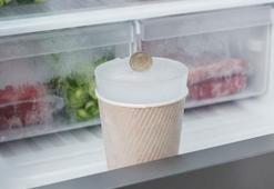 Buzdolabına neden bozuk para koyulur? Eve döndüğünüzde ilk buna bakın