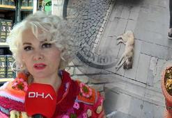 ‘Mardinli Marilyn Monroe’ tahliye edildi: “Şoka girdim, gözyaşlarımı tutamadım”