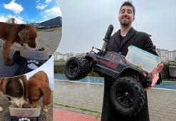 Bursa'da 'uzaktan kumandalı' iyilik: Oyuncak arabayla sokak hayvanlarına mama servisi!