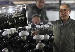 Ahırda başladığı serüveni 3 büyük çadırla devam ediyor! 77 yaşındaki adam herkesin hayalindeki işe atıldı, siparişlere yetişemiyor!