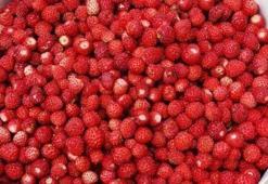 Gram altınla yarışıyor! Dağ yollarında kendiliğinden yetişiyor, kilogramı tam 8 bin TL oldu