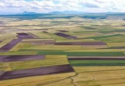 2025'te arsa ve tarla satışları 1,6 milyonu aştı