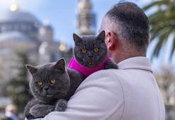 İstanbul sokaklarında bir baba kız masalı! Seyyah kedi olarak bilinen Reis'e artık yavrusu da eşlik ediyor