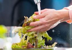 Tek bir malzeme kullanmanız yetiyor! Marul 2 hafta boyunca solmuyor, yumuşamıyor