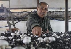 Varını yoğunu satıp bu işe girdi! 77 yaşında paraya para demiyor