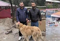 Akıntıya kapılmak üzereydi! Paşa’yı akıntıdan çıkardı