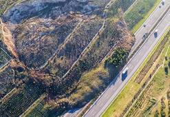İstanbul-İzmir Otoyolu'nda heyelan! Bölge trafiğe kapatıldı