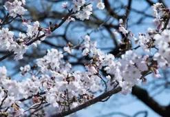 İKİNCİ CEMRE NE ZAMAN DÜŞECEK? BAHAR NE ZAMAN GELECEK? CEMRE DÜŞME TARİHLERİ